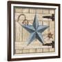 Barn Star II-Paul Brent-Framed Art Print