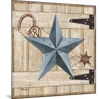 Barn Star II-Paul Brent-Mounted Art Print