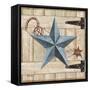 Barn Star II-Paul Brent-Framed Stretched Canvas