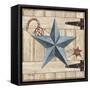 Barn Star II-Paul Brent-Framed Stretched Canvas