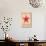 Barn Star Welcome-Melinda Hipsher-Stretched Canvas displayed on a wall