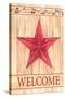 Barn Star Welcome-Melinda Hipsher-Stretched Canvas