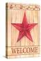 Barn Star Welcome-Melinda Hipsher-Stretched Canvas