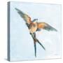 Barn Swallow Flight I-Sue Schlabach-Stretched Canvas