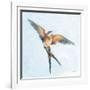 Barn Swallow Flight I-Sue Schlabach-Framed Art Print