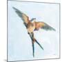 Barn Swallow Flight I-Sue Schlabach-Mounted Art Print