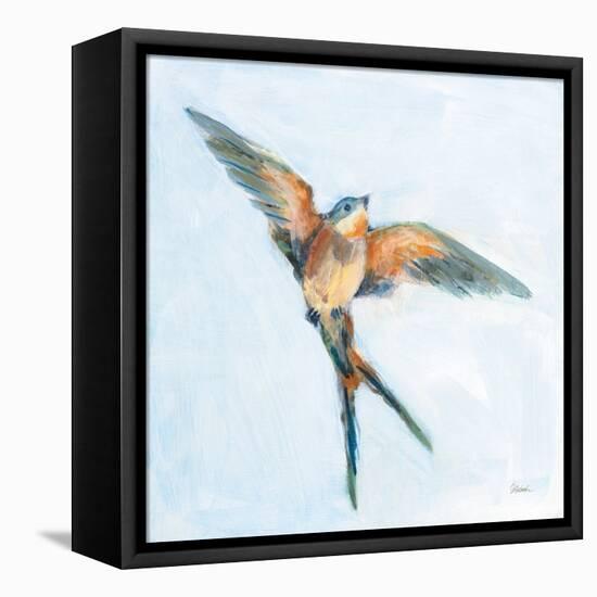 Barn Swallow Flight I-Sue Schlabach-Framed Stretched Canvas