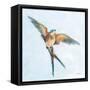 Barn Swallow Flight I-Sue Schlabach-Framed Stretched Canvas