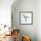 Barn Swallow Flight I-Sue Schlabach-Framed Art Print displayed on a wall