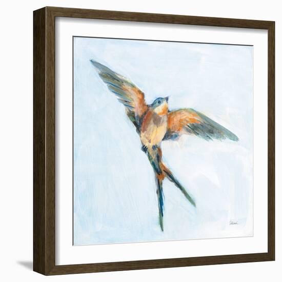 Barn Swallow Flight I-Sue Schlabach-Framed Art Print