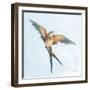 Barn Swallow Flight I-Sue Schlabach-Framed Art Print