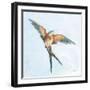 Barn Swallow Flight I-Sue Schlabach-Framed Art Print