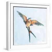 Barn Swallow Flight I-Sue Schlabach-Framed Art Print