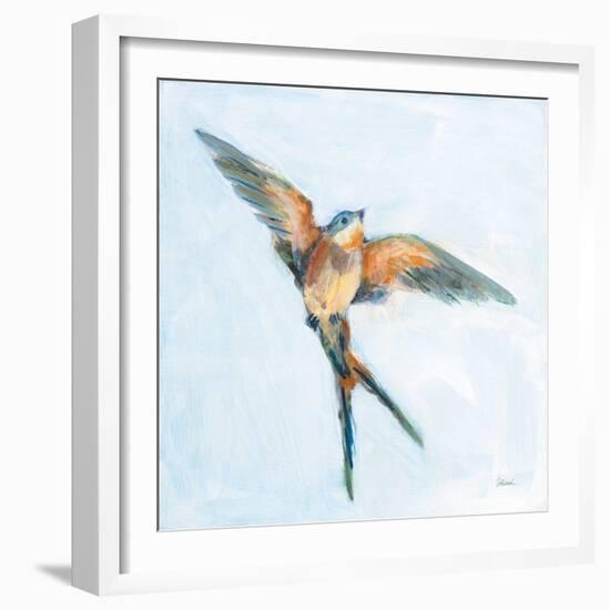 Barn Swallow Flight I-Sue Schlabach-Framed Art Print