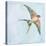 Barn Swallow Flight II-Sue Schlabach-Stretched Canvas