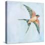Barn Swallow Flight II-Sue Schlabach-Stretched Canvas