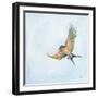 Barn Swallow Flight III-Sue Schlabach-Framed Art Print