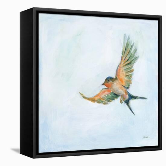 Barn Swallow Flight III-Sue Schlabach-Framed Stretched Canvas