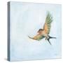 Barn Swallow Flight III-Sue Schlabach-Stretched Canvas