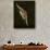 Barn Swallow, Pennsylvania, USA-Joe & Mary Ann McDonald-Photographic Print displayed on a wall