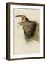 Barn Swallow-null-Framed Giclee Print