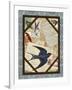 Barn Swallow-Kate Ward Thacker-Framed Giclee Print