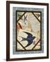 Barn Swallow-Kate Ward Thacker-Framed Giclee Print