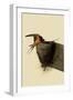 Barn Swallows-John James Audubon-Framed Giclee Print