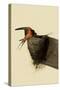 Barn Swallows-John James Audubon-Stretched Canvas