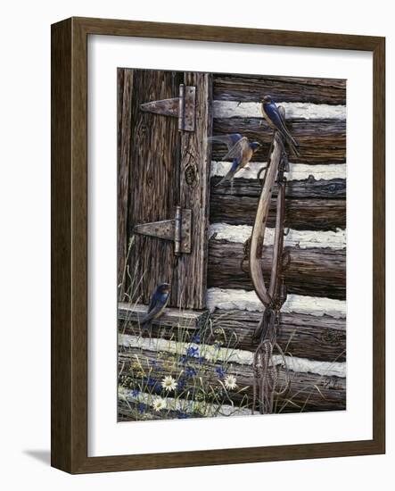 Barn Swallows-Jeff Tift-Framed Giclee Print