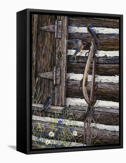 Barn Swallows-Jeff Tift-Framed Stretched Canvas