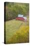 Barn VA 17 1-Robert Michaud-Stretched Canvas