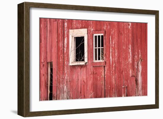 Barn Windows-Brenda Petrella Photography LLC-Framed Giclee Print