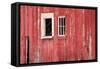 Barn Windows-Brenda Petrella Photography LLC-Framed Stretched Canvas