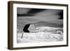 Barn, Wyoming-Carol Highsmith-Framed Photo