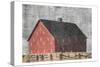 Barn Yard-Sheldon Lewis-Stretched Canvas