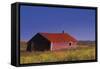 Barn-null-Framed Stretched Canvas