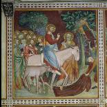 Jesus with the Doctors, from a Series of Scenes of the New Testament-Barna Da Siena-Framed Stretched Canvas