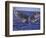 Barnacle-Encrusted Whale Tail-Amos Nachoum-Framed Photographic Print