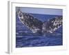 Barnacle-Encrusted Whale Tail-Amos Nachoum-Framed Photographic Print