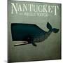 Barnacle Whale Nantucket-Ryan Fowler-Mounted Art Print