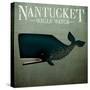 Barnacle Whale Nantucket-Ryan Fowler-Stretched Canvas