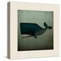 Barnacle Whale with Border-Ryan Fowler-Stretched Canvas