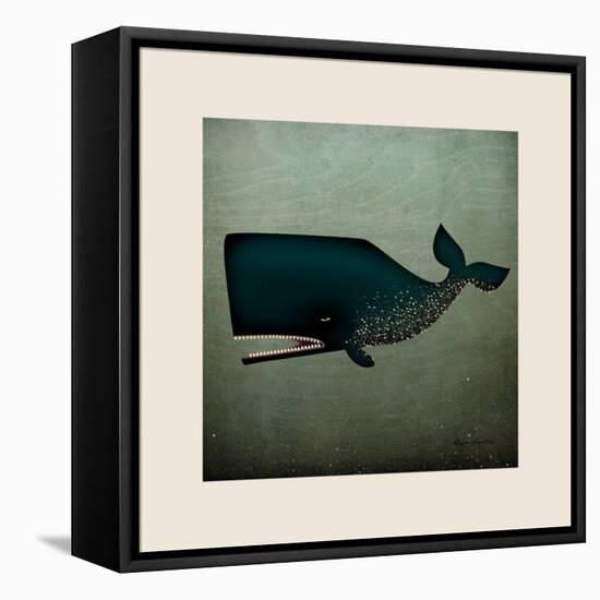 Barnacle Whale with Border-Ryan Fowler-Framed Stretched Canvas