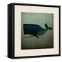 Barnacle Whale with Border-Ryan Fowler-Framed Stretched Canvas