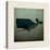 Barnacle Whale with Border-Ryan Fowler-Stretched Canvas