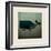 Barnacle Whale with Border-Ryan Fowler-Framed Art Print