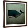 Barnacle Whale-Ryan Fowler-Framed Art Print