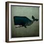 Barnacle Whale-Ryan Fowler-Framed Art Print