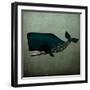 Barnacle Whale-Ryan Fowler-Framed Art Print